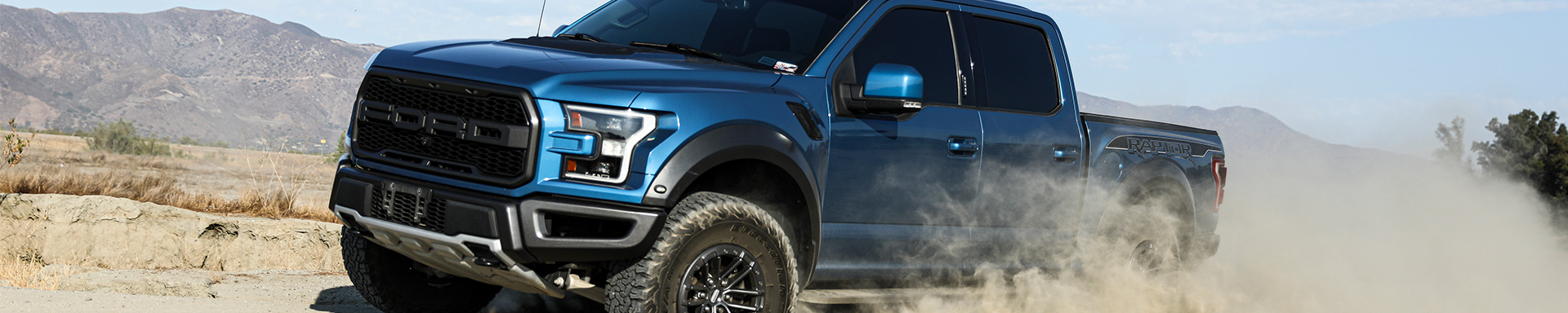 Raptor Revalve Service