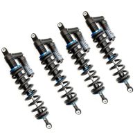 Terrain Master 2.1 Shocks for 2024+ Kawasaki Ridge