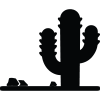 Desert Mode Suspension
